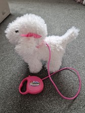 Fluffy Puppies: Bella the Walking Poodle