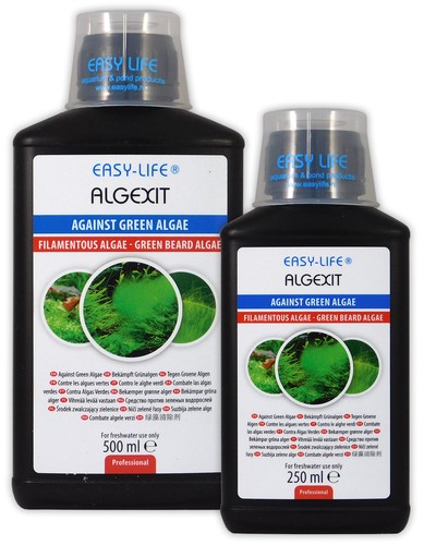 Easy life algexit - algexit, green