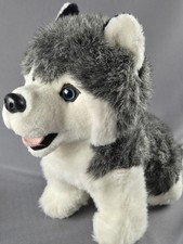 Stuffed Animal House Husky