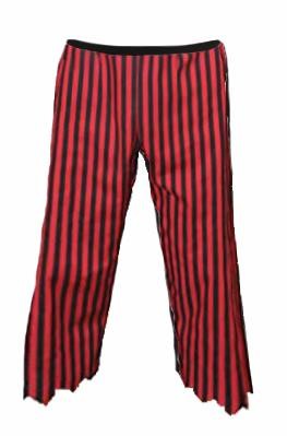Adults striped pirate - adults,