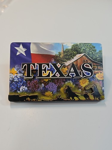 Texas travel souvenir fridge - travel,