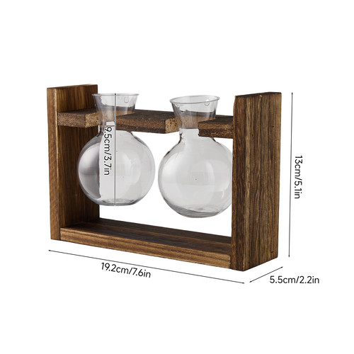 Glass plant propagation - glass,