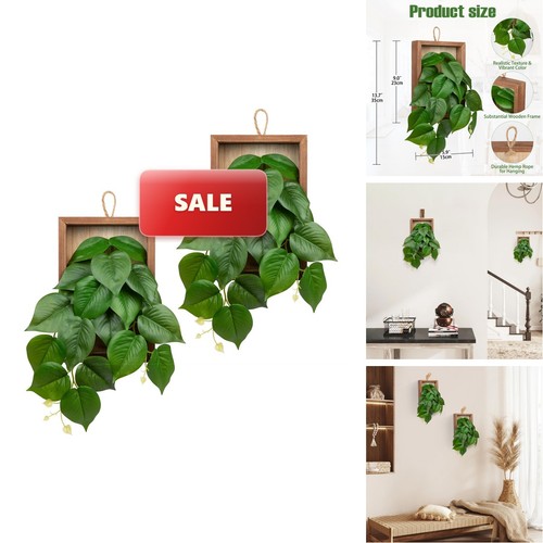 Dilatata artificial hanging - artificial,