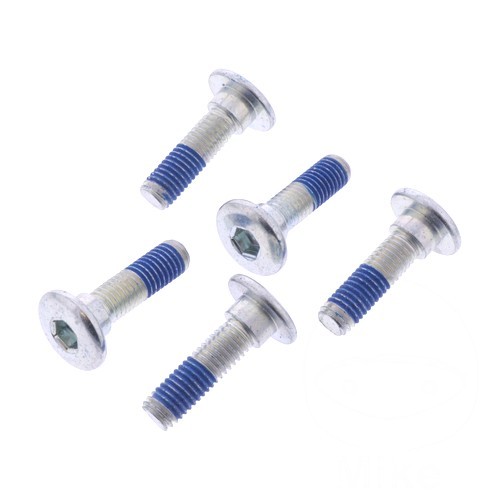 Brake disc screw - disc, ebc