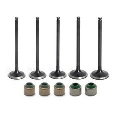 5PCS Intake Exhaust Valves