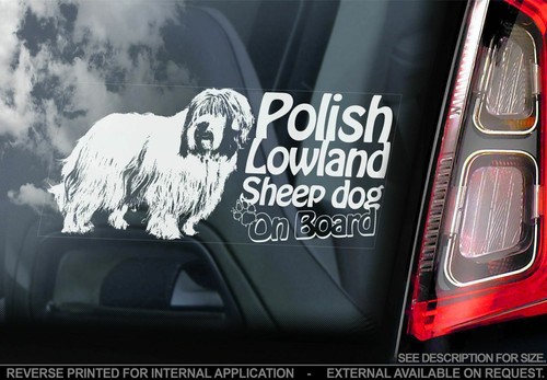 Polish lowland sheepdog car - polish,