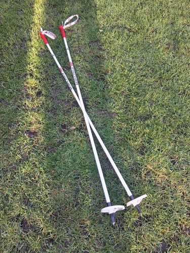 Fischer trek skiing sticks - trek,
