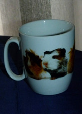 Cute Guinea Pig Mug by Otter House Ceramic ideal as a gift for Cavy lovers