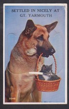 1960 'SETTLE IN NICELY AT GT YARMOUTH 'FOLD OUT POSTCARD, DOG WITH CAT IN BASKET