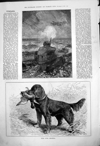 Original old antique print - old,