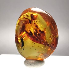 2.77ct Burmese Amber w. Plant