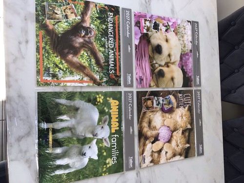 2027 calendar kittens - calendar,