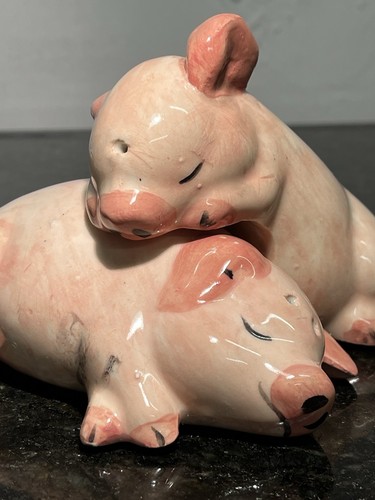 Pig salt pepper shakers - salt,