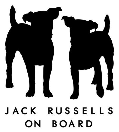 Jack russell dog board car - on,