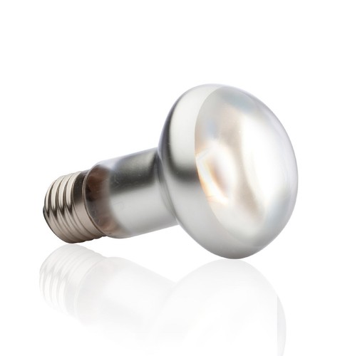 Exo terra bulb reptile lamp - terra,