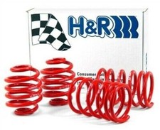 H&R 29527 Race Lowering Spring