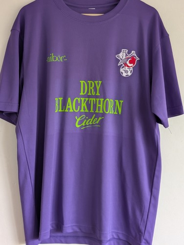 Bristol city inspired - city,