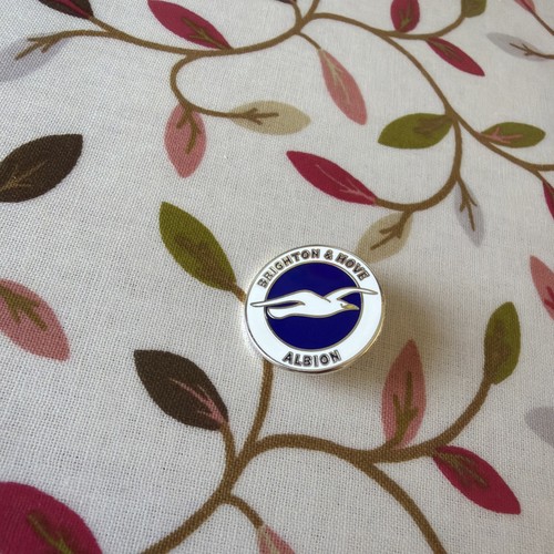 Brighton hove albion fc - brighton,
