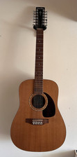Simon & Patrick 12 String