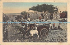 R175171 Carts Loading Cotton Bales. D. Macropolo