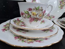 VINTAGE QUEEN ANNE FINE BONE CHINA TEA SET SERVICE FOR 2 DOG ROSE CHERRY BLOSSOM