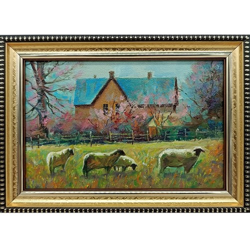 Sheep farmhouse meadow - farmhouse,