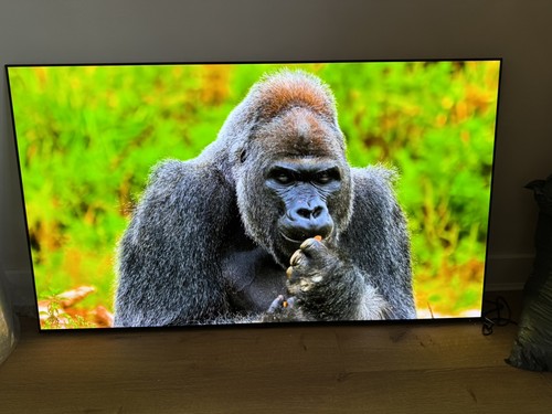 Inch oled evo c4 - lg, ai