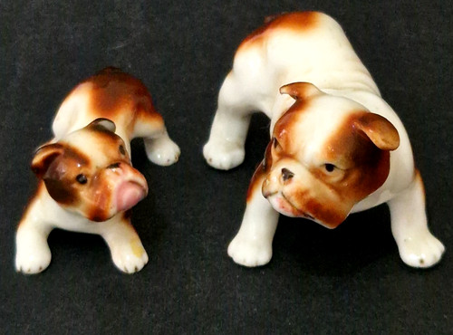 Vintage miniature bulldog dog - vintage,