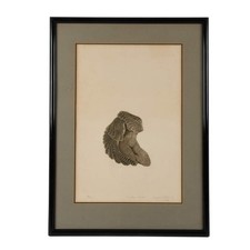 Framed Paper Print "Condor