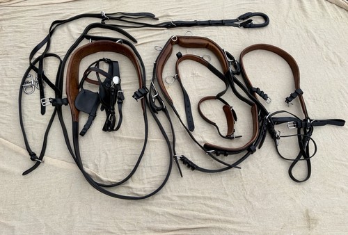 Ideal equestrian leathertech - equestrian,