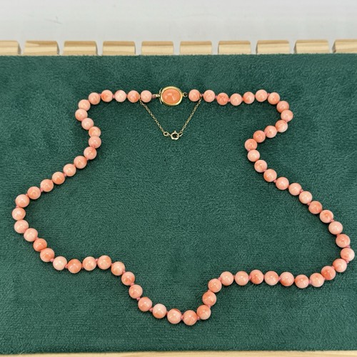 Antique angle skin - skin, coral