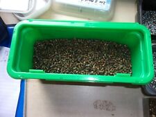 Meccano 200 Slotted Cheese Head Bolts - Part 37b - Play Worn - From This Box