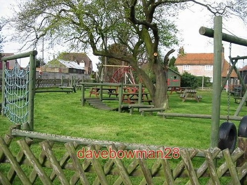 Photo broad oak - photo,