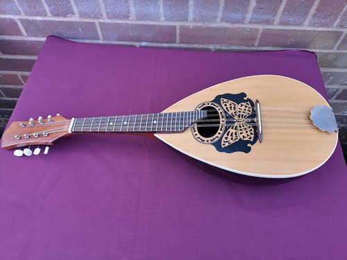Mandolin eko composite - md,