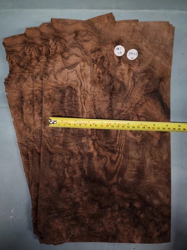 American walnut burr veneer - walnut,