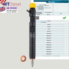 Renault Dacia Diesel Fuel