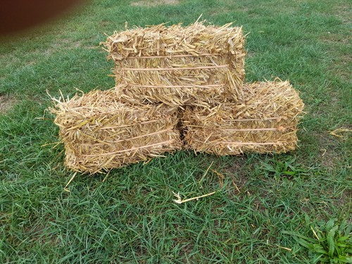 Mini straw bale - mini,