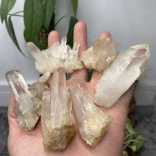 5 x Natural Raw Quartz Crystal
