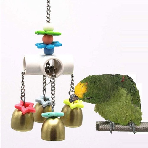 Large parrot chewing toy bird - parrot,