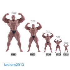 Strong Muscular Man Scene