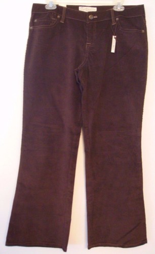 Steve barry classic - classic, brown