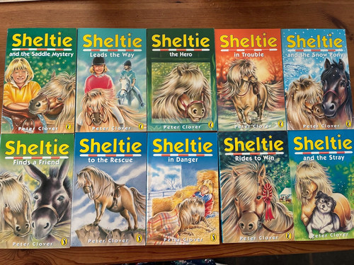 Sheltie the shetland pony