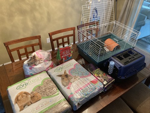 Guinea pig cages - 2, bags