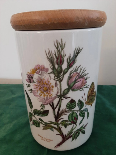 Vintage 1972 dog rose - vintage,