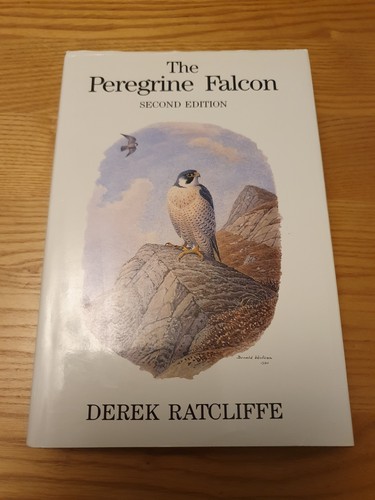 The peregrine falcon - the, second