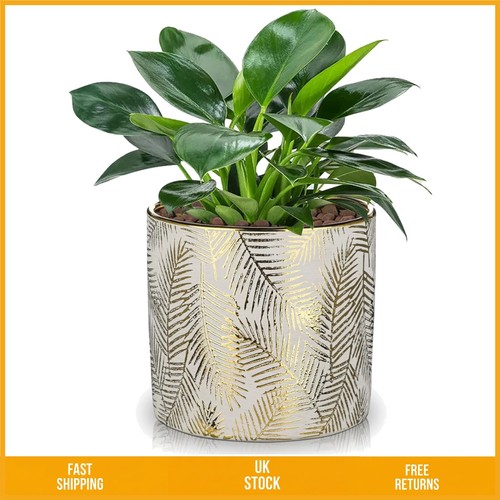 Elegant ceramic planter with - elegant,