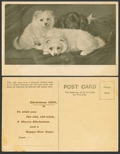 Pomeranian Dogs King Charles Spaniel Dog Puppies Carriage Folk 1904 Old Postcard