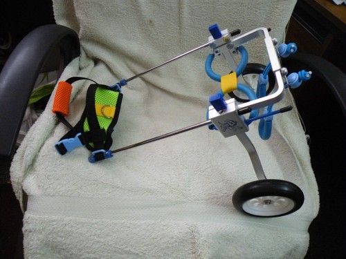 Adjustable dog pet - dog, wheelchair