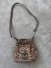 Kathy Van Zeeland leopard
