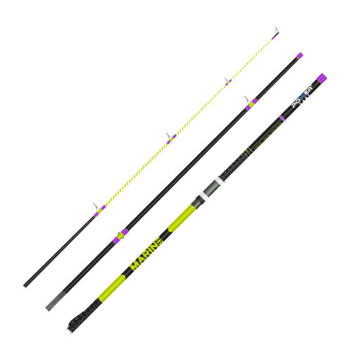 Beachcaster sea fishing - , rod